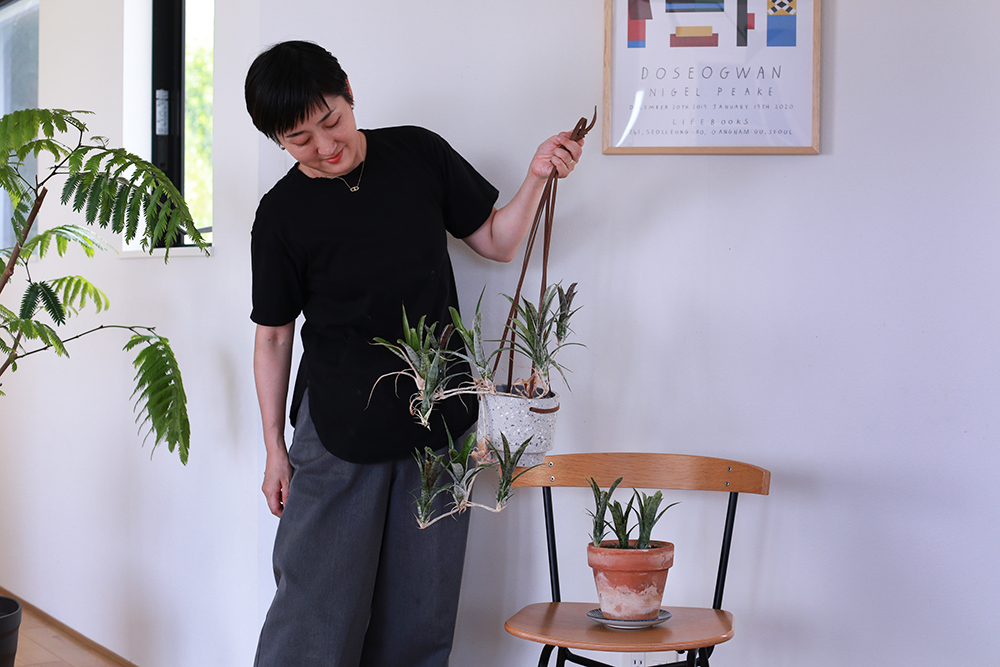 植物を鉢植えに移植